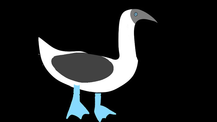 Meet Skins! Skins Is Very Stupid