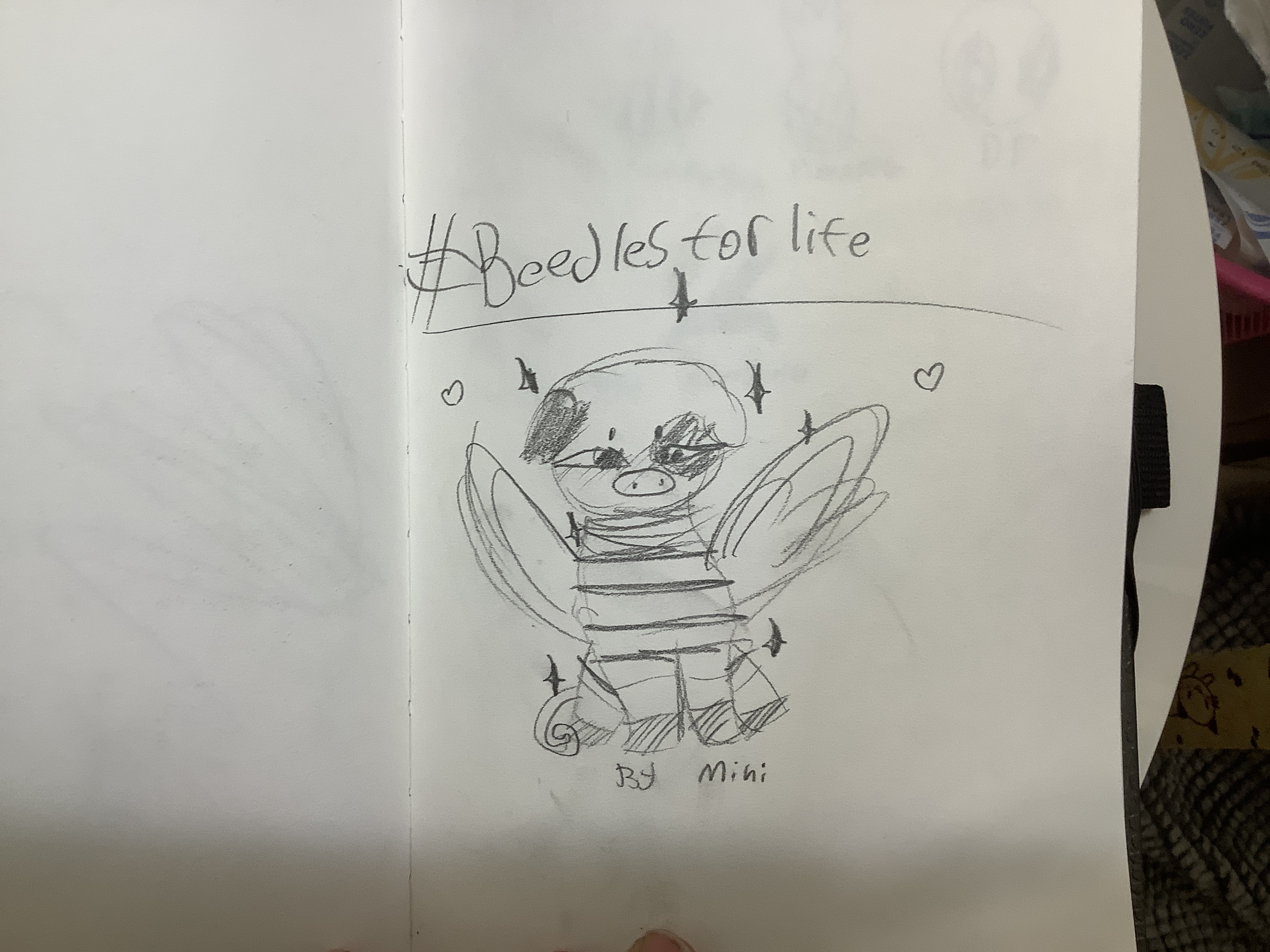 Hey Pandas, Post Ship Art!