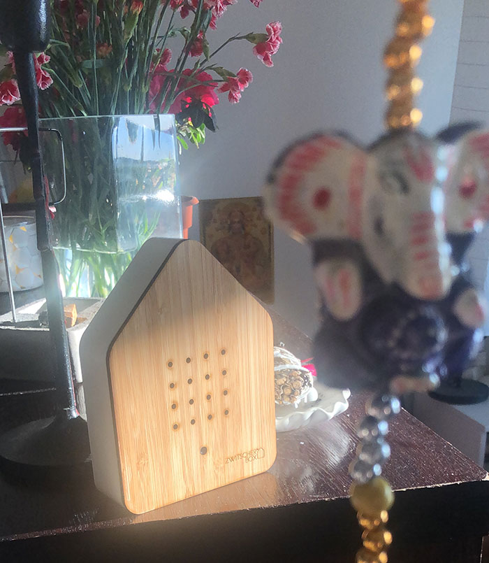 Zwitscher Box - Bird Sounds Activated By Movement