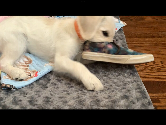 My Little Derp, Tilly