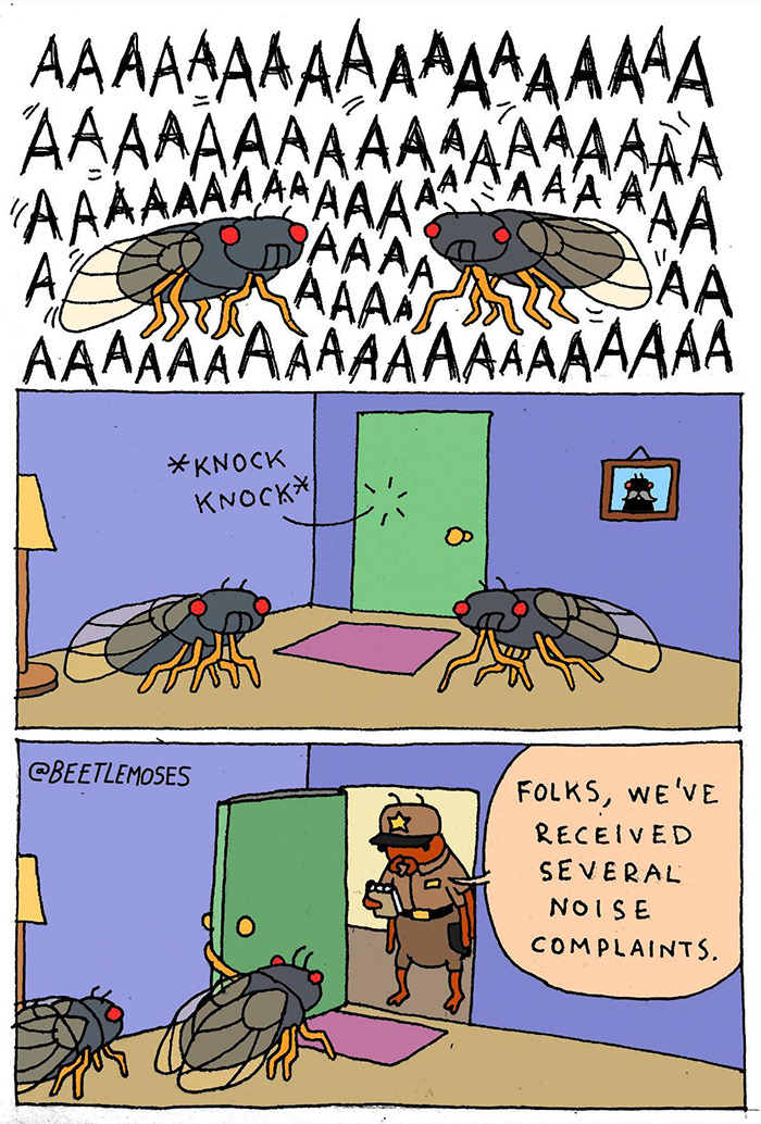 Hilarious Nonsensical "Beetlemoses" Comics With A Dark Twist