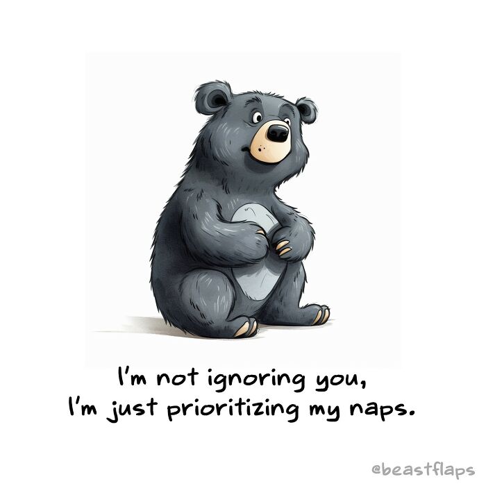 I Created 100 Pages Of Sassy Animals For My Book 100 Sassy Animals