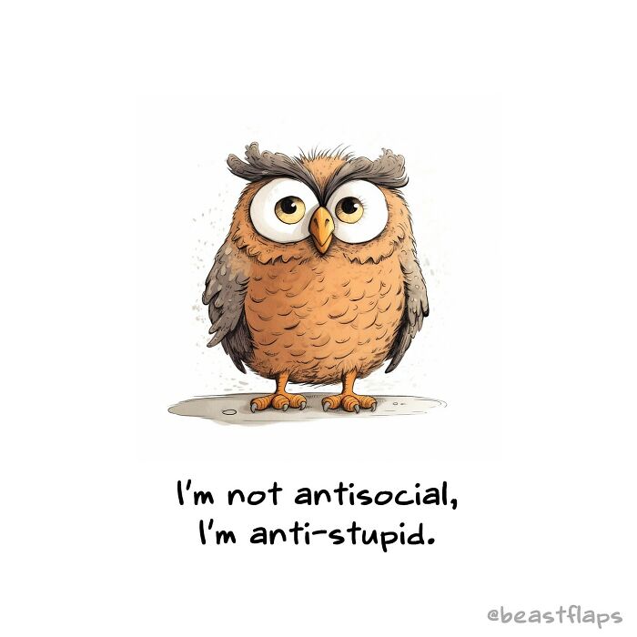 I Created 100 Pages Of Sassy Animals For My Book 100 Sassy Animals