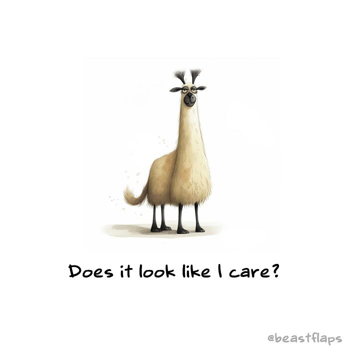 I Created 100 Pages Of Sassy Animals For My Book 100 Sassy Animals