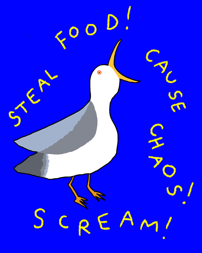 Seagull Affirmations