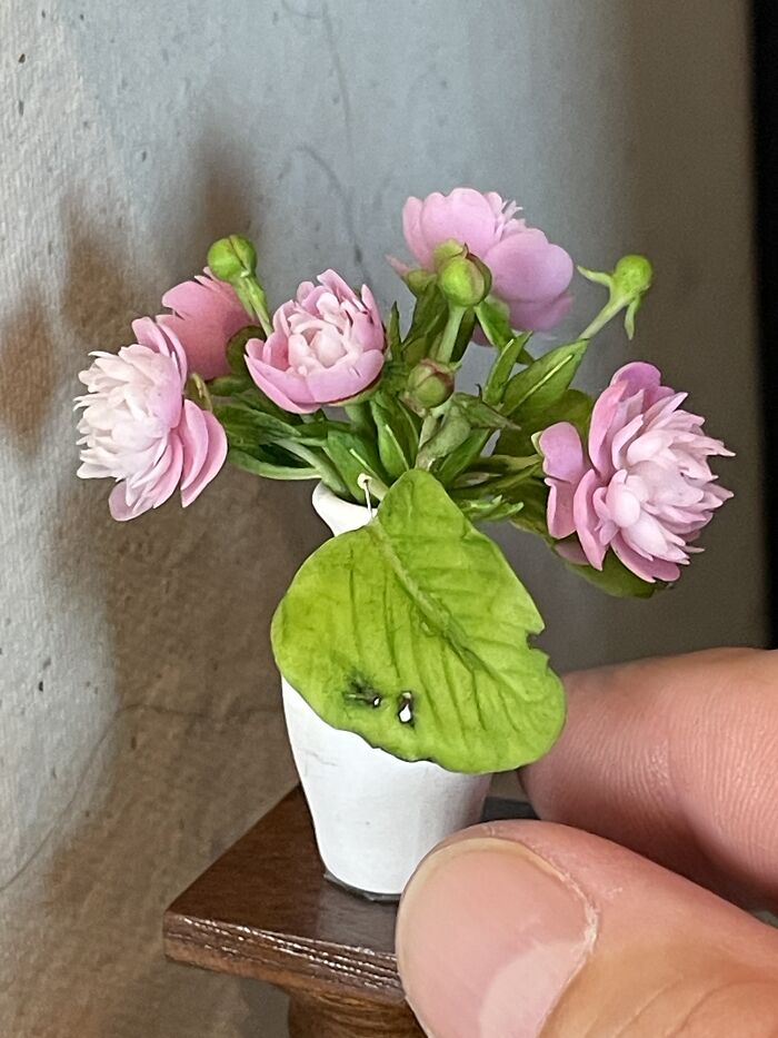 Pink And White Peony By Christina Hampe