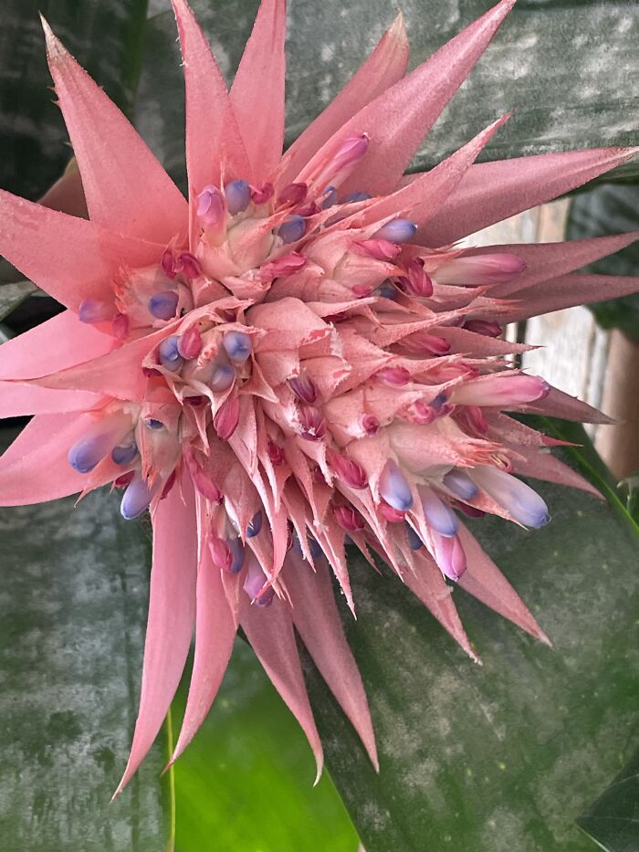 Here Is A Small Collection Of The Photographs I Took