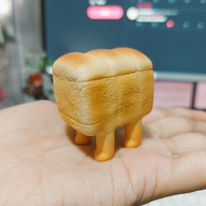 My Favorite Images From Boredpanda