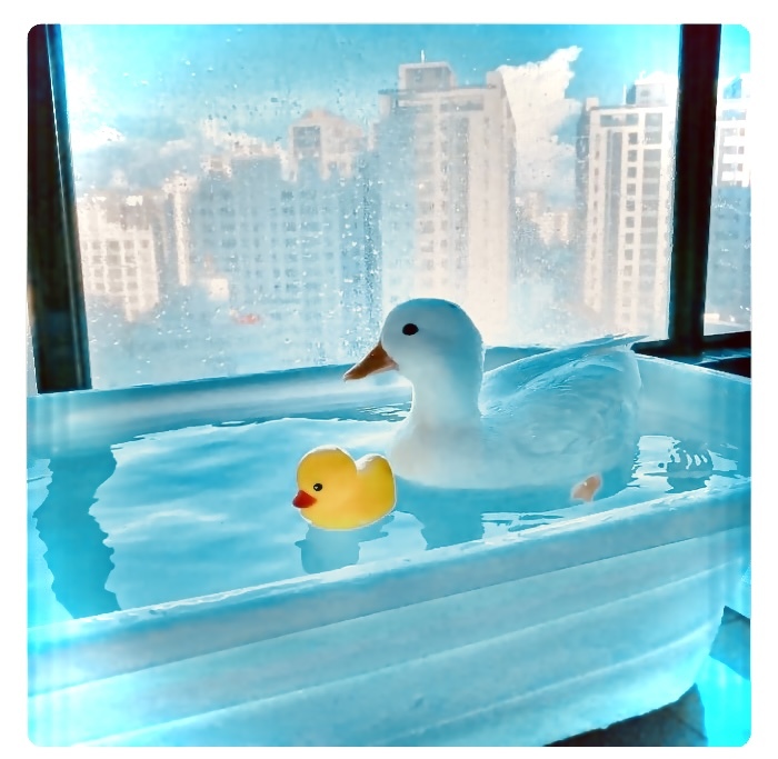 My Favorite Images From Boredpanda