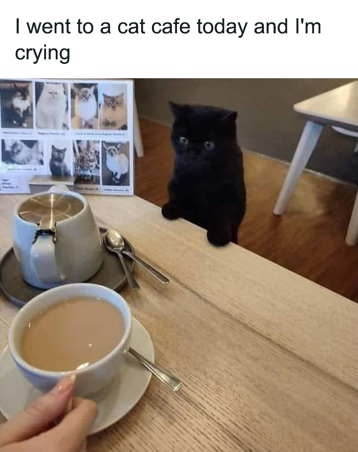 My Favorite Images From Boredpanda