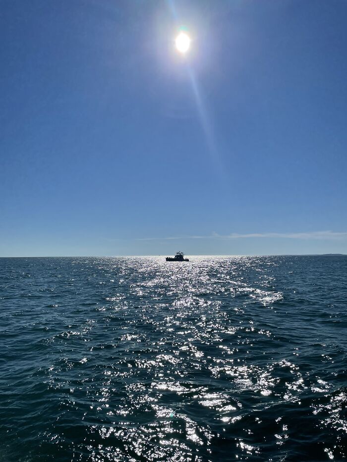 Here Is A Small Collection Of The Photographs I Took