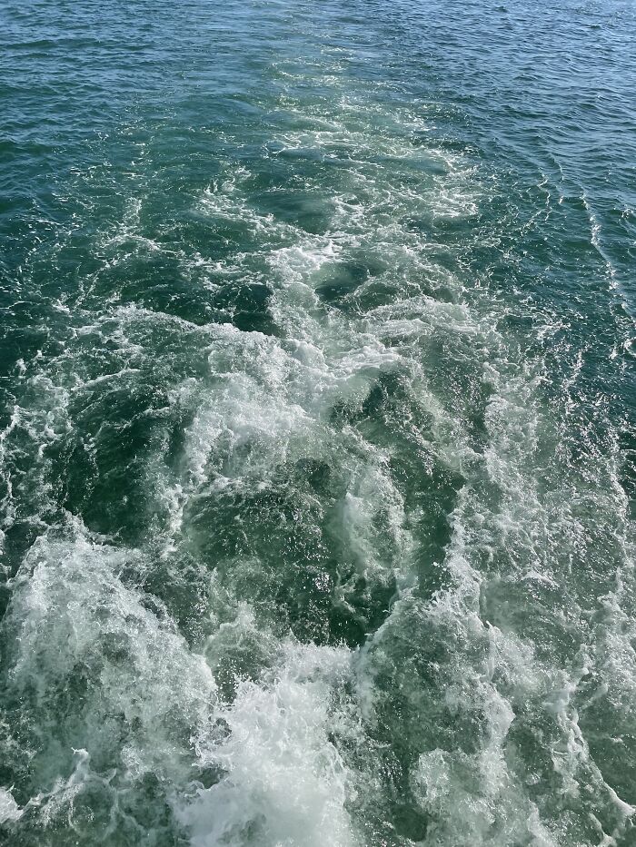 Here Is A Small Collection Of The Photographs I Took