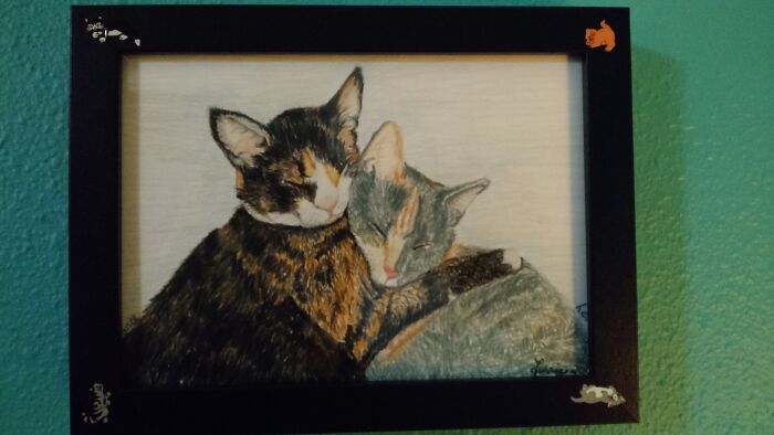 Colored Pencil Drawing I Made Of My Son's Cats