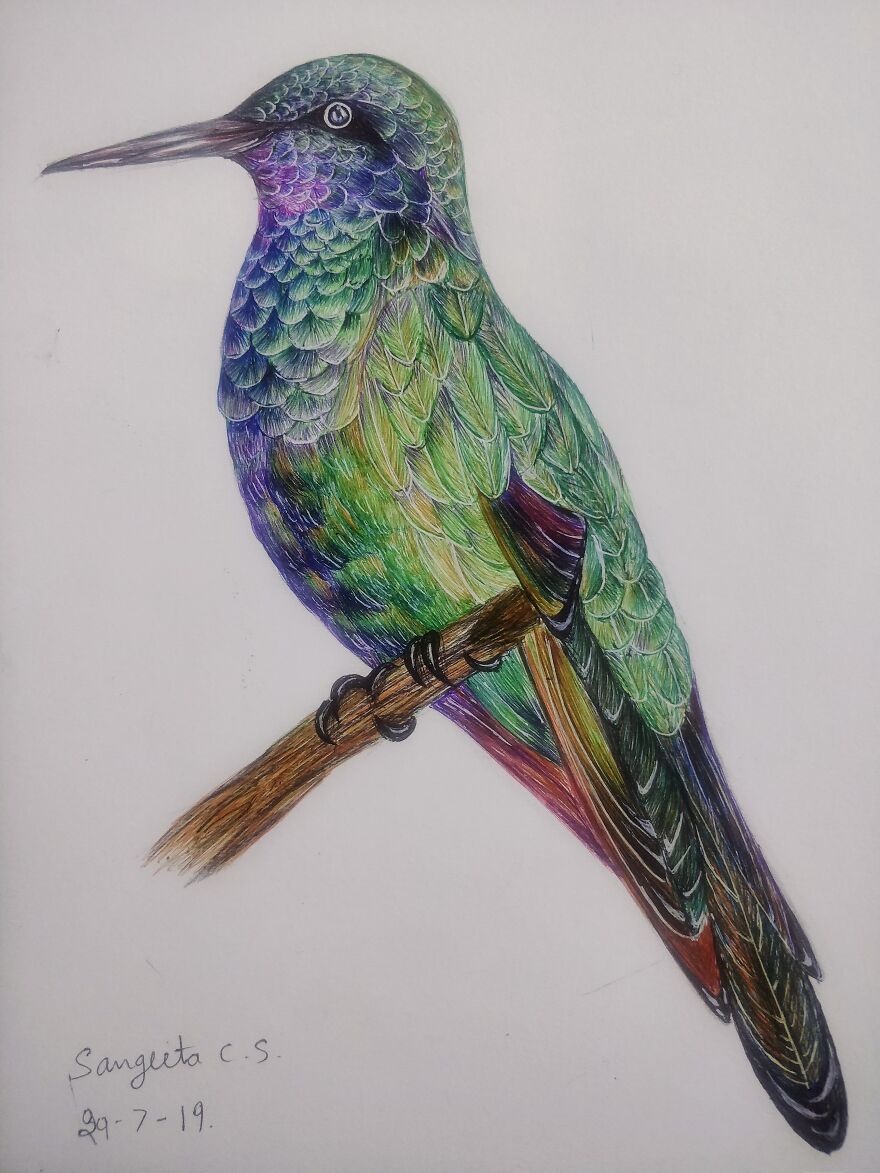Amazing Pen Art By Sangeeta Cs (7 Pics) Amazing Pen Art By Sangeeta Cs (7 Pics)