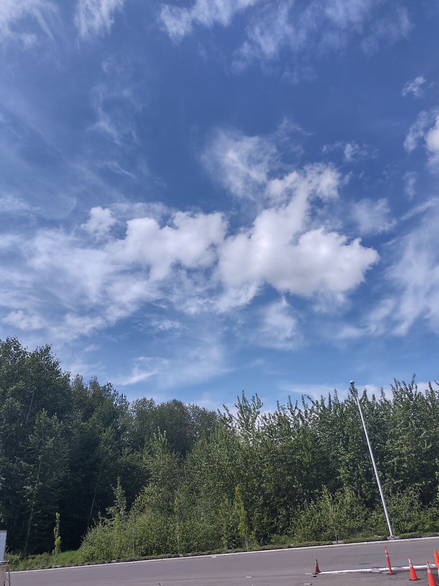 Days In My Life, In Tacoma, Wa. Days In My Life, In Tacoma, Wa.