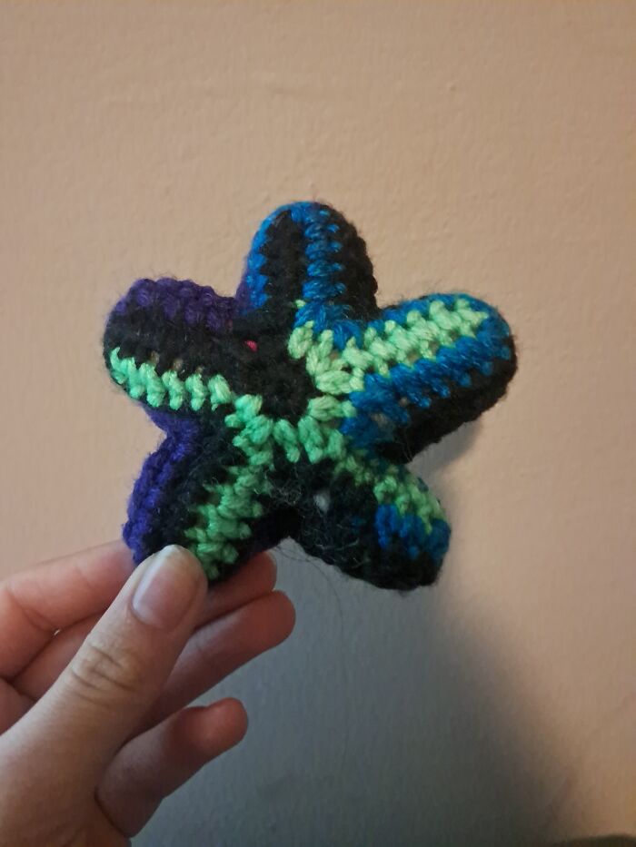 Weird Little Starfish