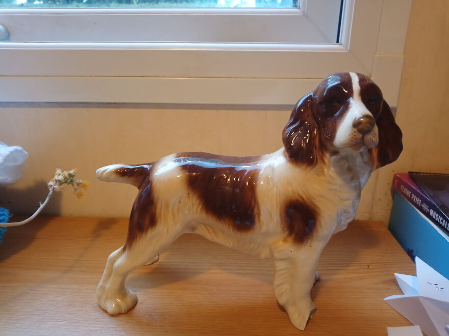 She Belonged To My Great-Grandad, And It Was My Favourite Thing Ever To Clean Her Whenever I Went Round, Often Using A Whole Can Of Polish In The Process. She Then Passed On To Grandma, And I Got Her Out Of The Attic After Grandma Died. My Family Have Always Had Springer Spaniels, So That Makes Her Doubly Special
