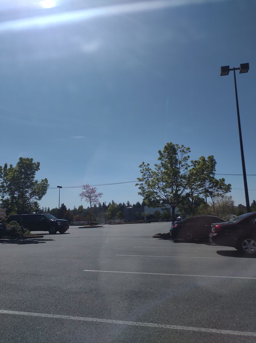 Days In My Life, In Tacoma, Wa. Days In My Life, In Tacoma, Wa.