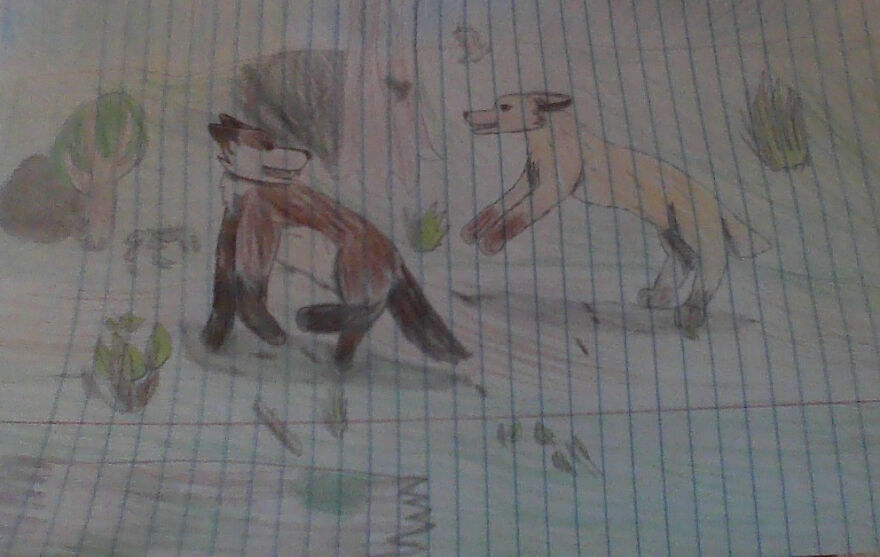 My Ocs Skalik (Darker One-Male) And Emmi (Lighter One With Short Tail-Female) Wotb Ocs