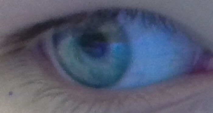 Feeling Oddly Insecure Today Soooo Here's A Really Zoomed In Pic I Took Earlier