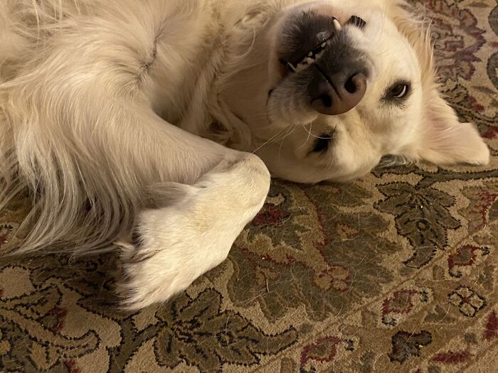 I Completely Understand What You Are Sayin