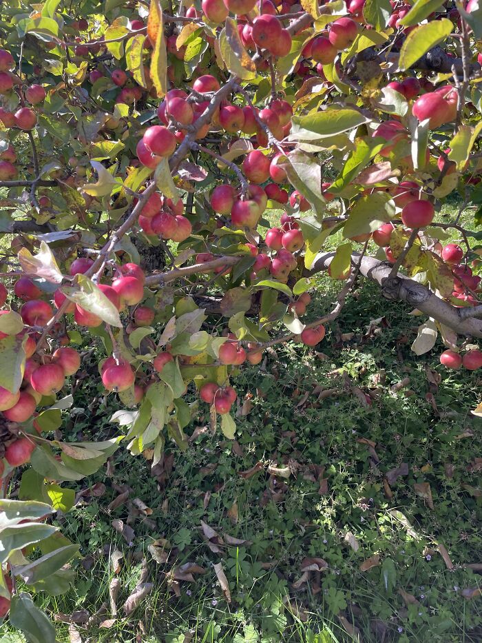 Here Is A Small Collection Of The Photographs I Took