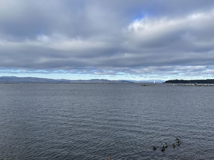 Here Is A Small Collection Of The Photographs I Took