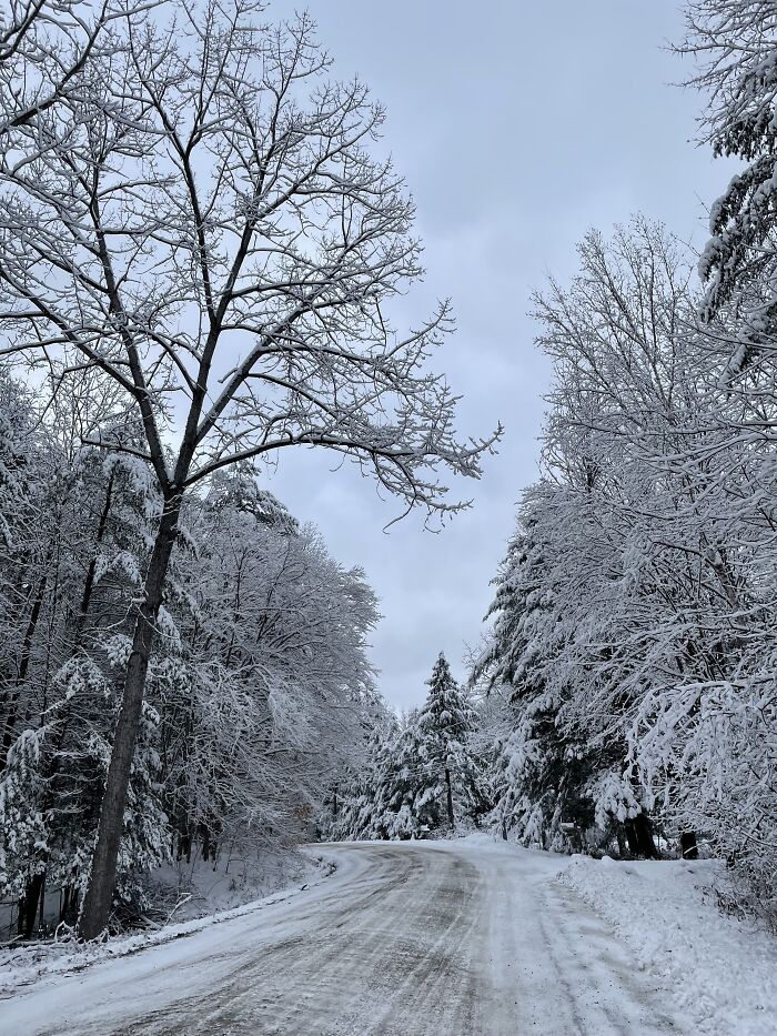 Here Is A Small Collection Of The Photographs I Took