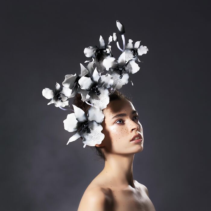 Black And White Orchids