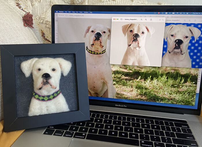 Artist Warms The Hearts Of Tutors With Felt Dolls Of Their Pets