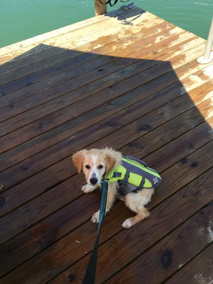 Mary's First Trip To The Lake. She Loved The Boat Ride But Not Impressed With The Water