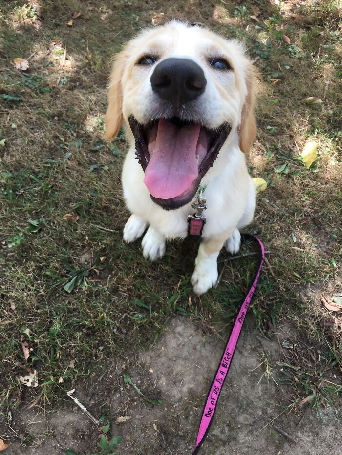 Can You Tell She's Happy To Be At The Park?