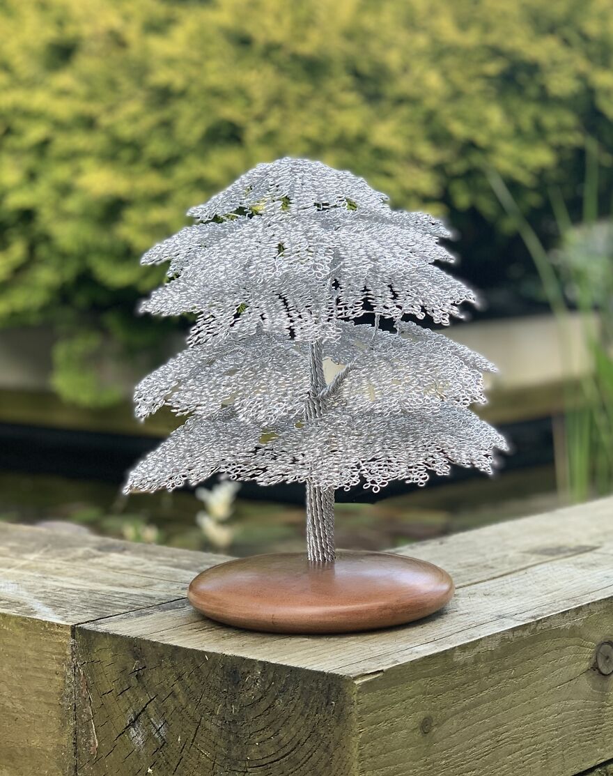 Wirewoodtrees Wirewoodtrees