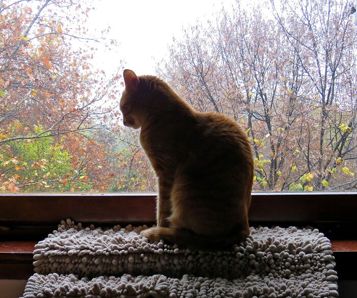 I'm Sorry But The Window Is Always Occupied Especially If I Try To Take A Picture