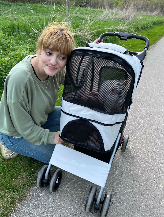 Woman with a cat in the stroller 
