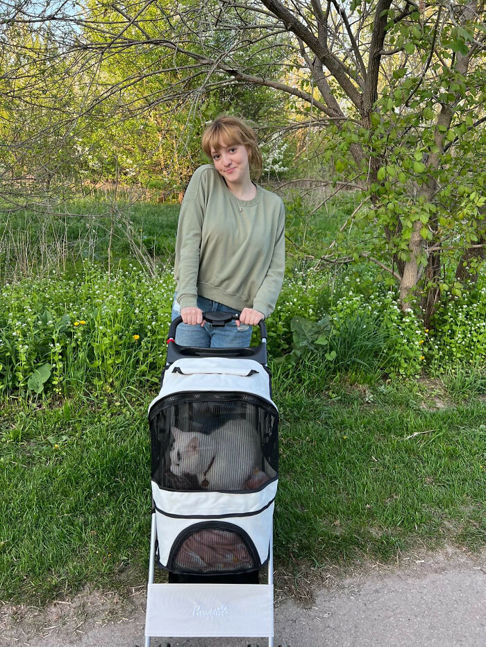 Woman with a cat in the stroller 