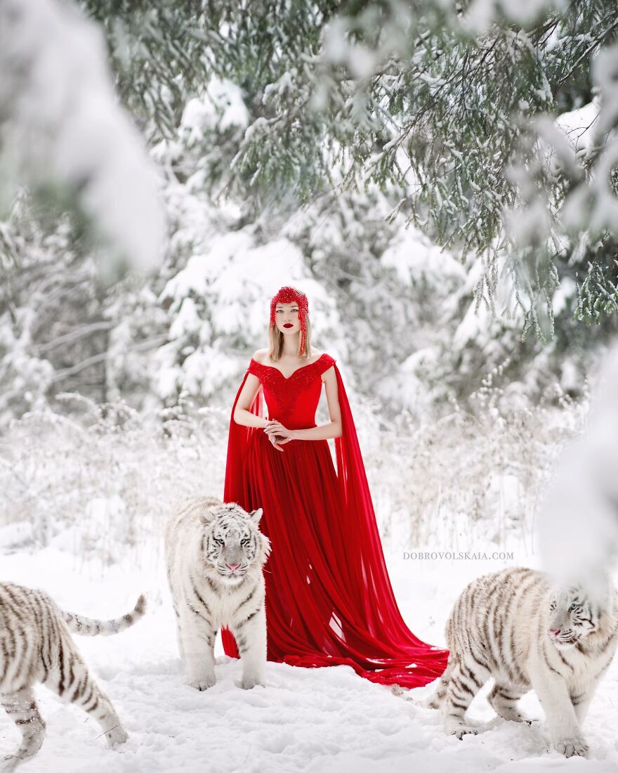 Meet The Magical World Of Anastasiya Dobrovolskaya (New Pics)