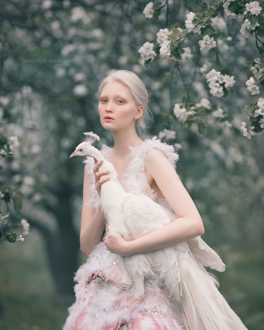 Meet The Magical World Of Anastasiya Dobrovolskaya (New Pics)
