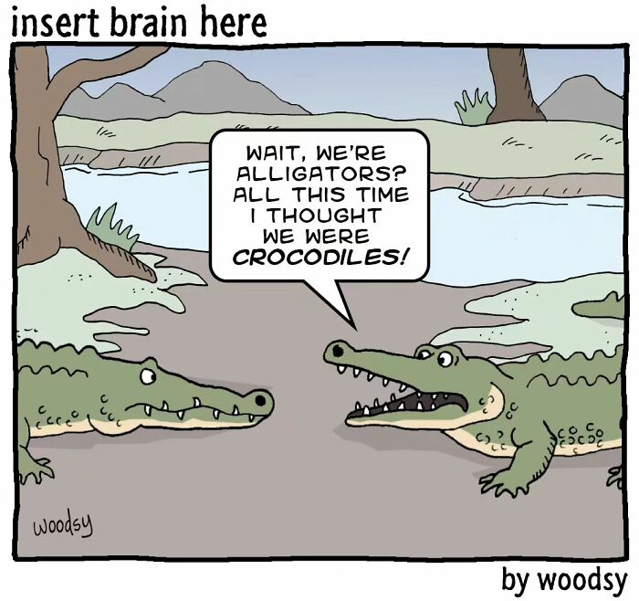 New One Panel Funny Comics By Paul Woods With A Sudden Twist