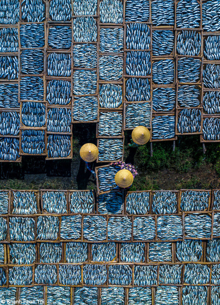 1st Place, Pink Lady® Food Photographer Of The Year (South East Asia): Drying Fish By Khanh Phan Thi (Viet Nam)