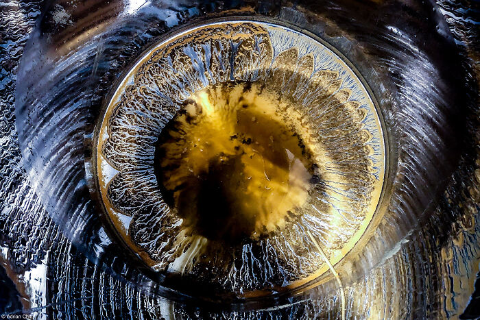 1st Place, Errazuriz Wine Photographer Of The Year - Produce: The Eye By Adrian Chitty (United States)