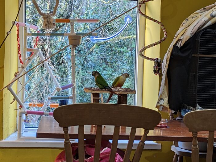 The Adventure Window