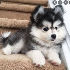 jackbuchaklian avatar