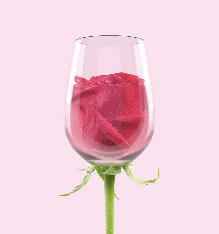 A Glass Of Rosé