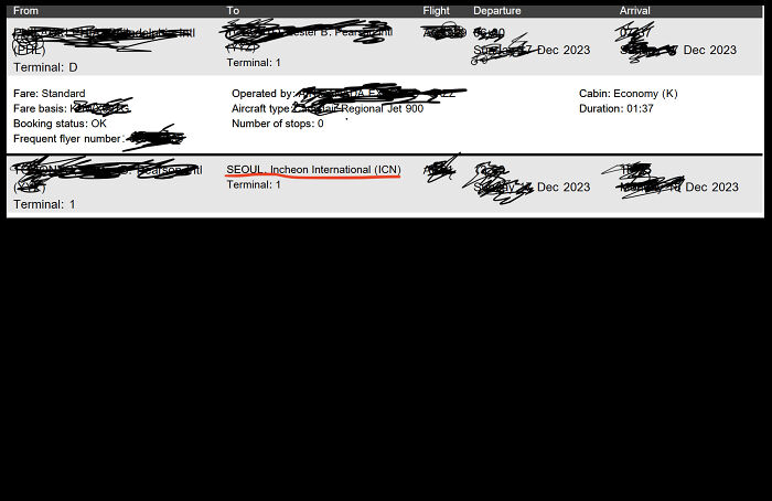 I Am An Adult Korean Adoptee. I'm Going To Korea For The First Time Since I Left As A Baby