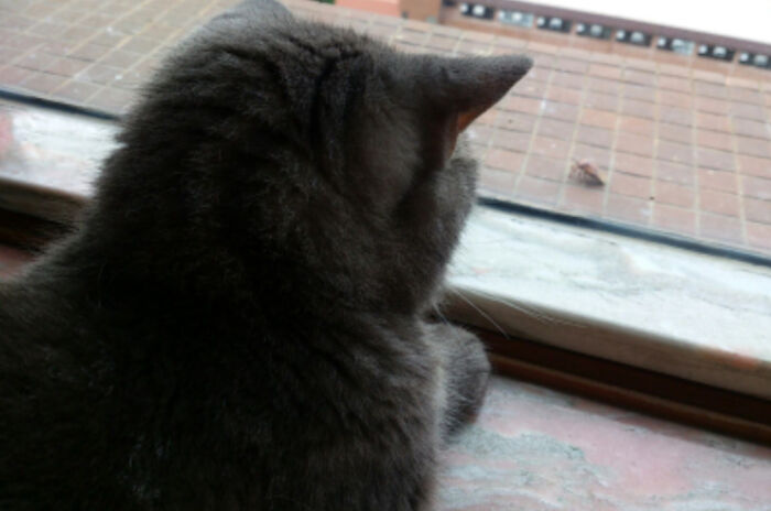 Casey Used His Brain Wave To Communicate With A Friend From Nature