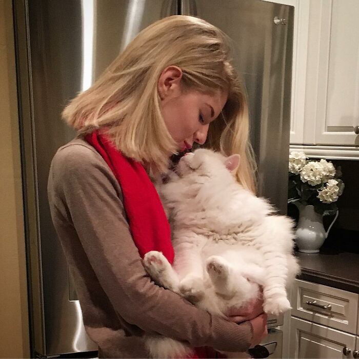 Rescued Cat Silas Surprises His Forever Family With His True Fluff Form As His Pictures Go Viral On Social Media Rescued Cat Silas Surprises His Forever Family With His True Fluff Form As His Pictures Go Viral On Social Media