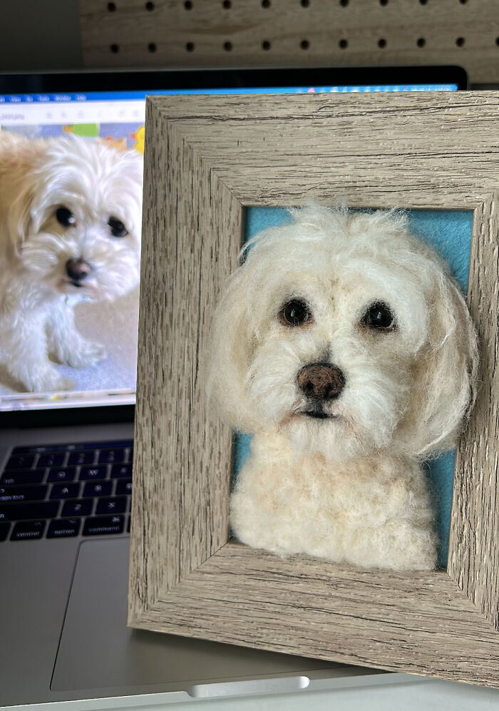 Artist Warms The Hearts Of Tutors With Felt Dolls Of Their Pets