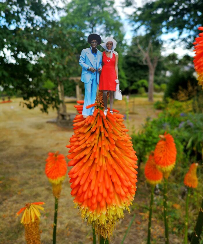 Matching Nature's Style