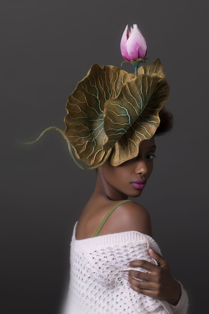 Pink Lilly On A Petal